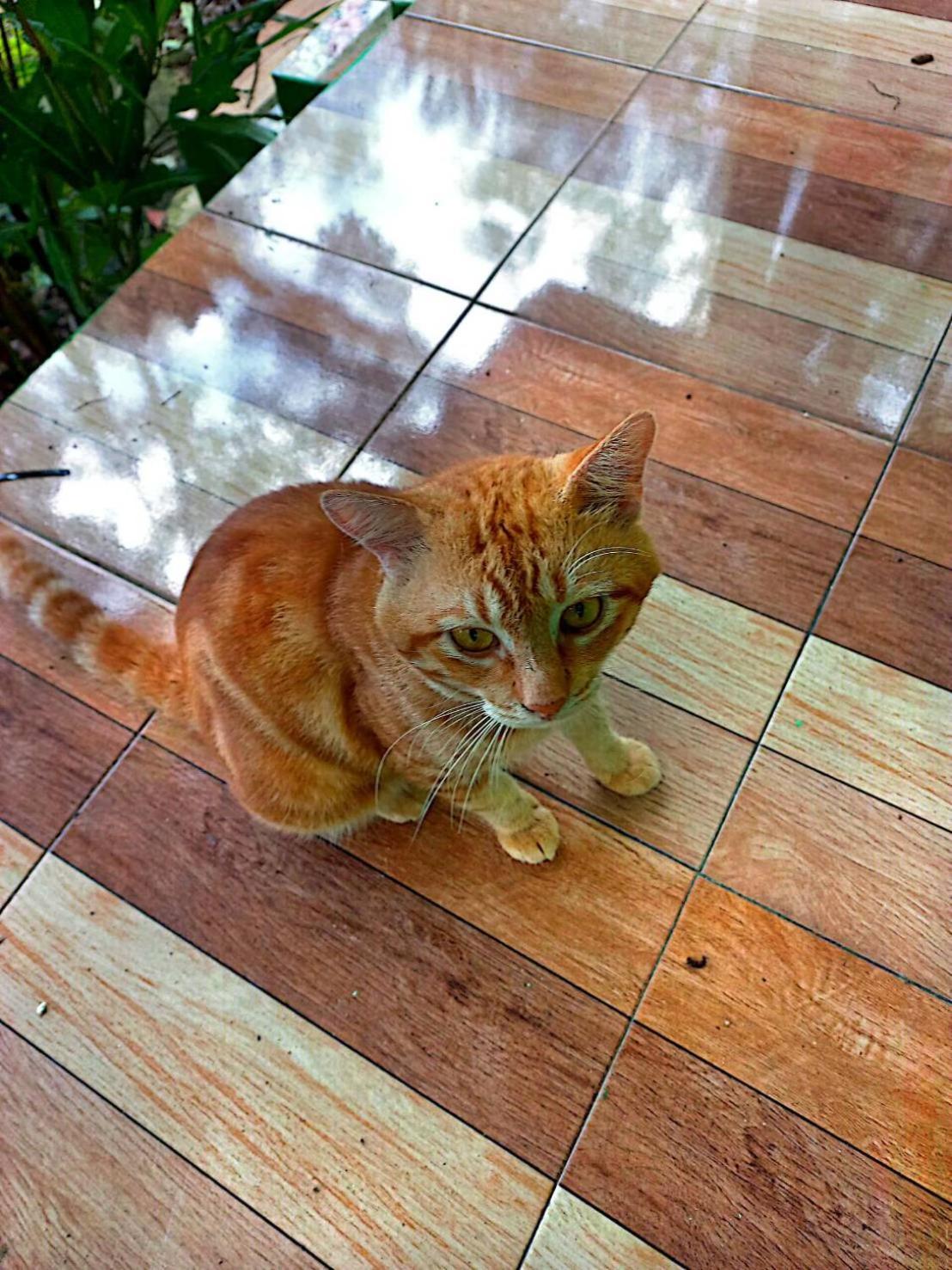 Lanta Maikeaw Bungalow Ko Lanta Eksteriør bilde